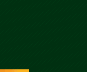 LATERAL